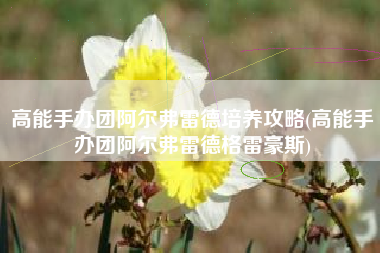 高能手办团阿尔弗雷德培养攻略(高能手办团阿尔弗雷德格雷豪斯)
