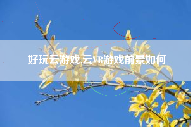 好玩云游戏,云VR游戏前景如何