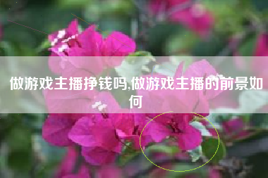 做游戏主播挣钱吗,做游戏主播的前景如何
