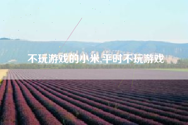 不玩游戏的小米,平时不玩游戏