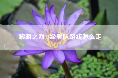 黎明之海75级舰队路线怎么走