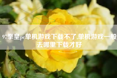 97拳皇pc单机游戏下载不了,单机游戏一般去哪里下载才好