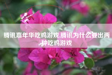 腾讯嘉年华吃鸡游戏,腾讯为什么要出两种吃鸡游戏