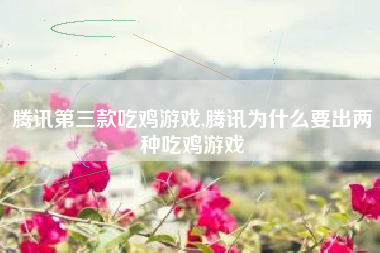 腾讯第三款吃鸡游戏,腾讯为什么要出两种吃鸡游戏