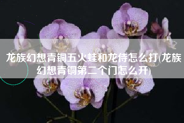龙族幻想青铜五火蛙和龙侍怎么打(龙族幻想青铜第二个门怎么开)