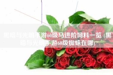 黑暗与光明手游60级马进阶饲料一览 (黑暗与光明手游60级蜘蛛在哪)