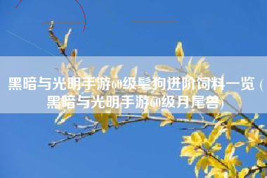 黑暗与光明手游60级髦狗进阶饲料一览 (黑暗与光明手游60级月尾兽)