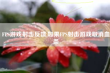 FPS游戏射击反馈,如果FPS射击游戏取消血条