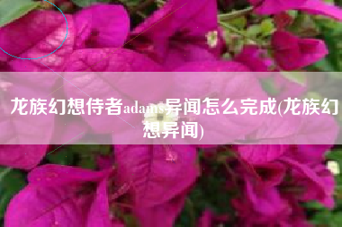 龙族幻想侍者adams异闻怎么完成(龙族幻想异闻)