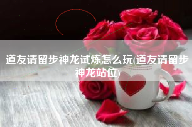 道友请留步神龙试炼怎么玩(道友请留步神龙站位)