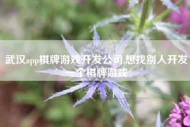武汉app棋牌游戏开发公司,想找别人开发一个棋牌游戏