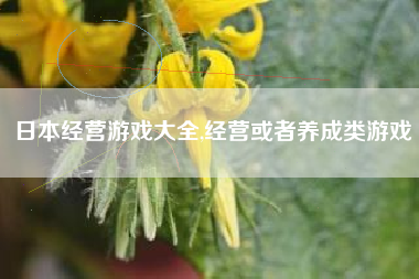 日本经营游戏大全,经营或者养成类游戏