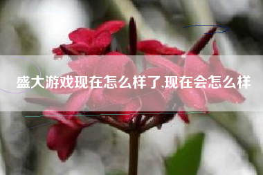 盛大游戏现在怎么样了,现在会怎么样