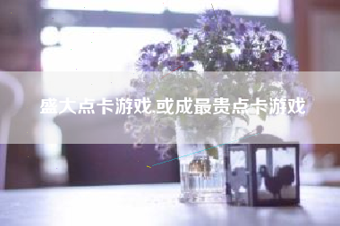 盛大点卡游戏,或成最贵点卡游戏