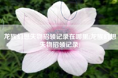 龙族幻想失物招领记录在哪里(龙族幻想失物招领记录)