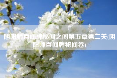 阴阳师百闻牌秘闻之间第五章第二关(阴阳师百闻牌秘闻卷)