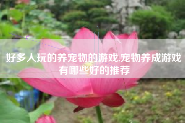 好多人玩的养宠物的游戏,宠物养成游戏有哪些好的推荐