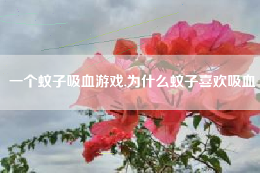 一个蚊子吸血游戏,为什么蚊子喜欢吸血