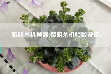 黎明杀机帧数(黎明杀机帧数设置)