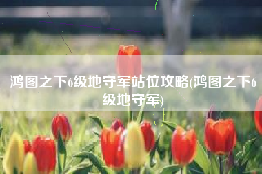鸿图之下6级地守军站位攻略(鸿图之下6级地守军)