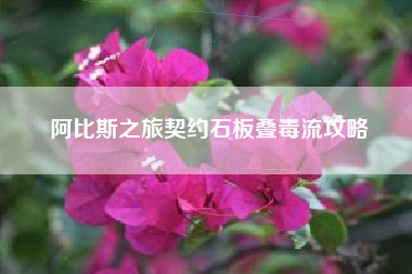 阿比斯之旅契约石板叠毒流攻略