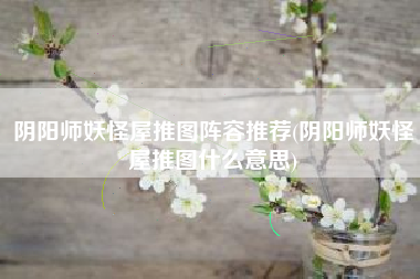 阴阳师妖怪屋推图阵容推荐(阴阳师妖怪屋推图什么意思)