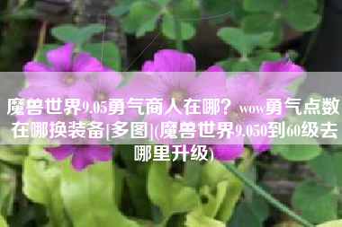 魔兽世界9.05勇气商人在哪？wow勇气点数在哪换装备[多图](魔兽世界9.050到60级去哪里升级)