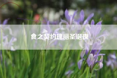 食之契约瑰丽圣诞夜