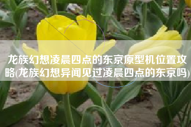 龙族幻想凌晨四点的东京原型机位置攻略(龙族幻想异闻见过凌晨四点的东京吗)