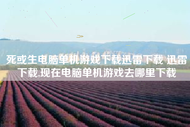 死或生电脑单机游戏下载迅雷下载 迅雷下载,现在电脑单机游戏去哪里下载