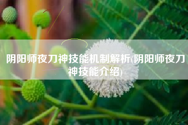 阴阳师夜刀神技能机制解析(阴阳师夜刀神技能介绍)