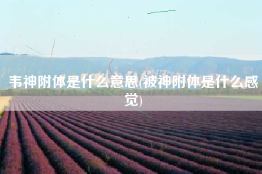 韦神附体是什么意思(被神附体是什么感觉)
