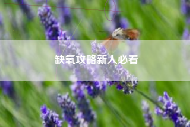 缺氧攻略新人必看