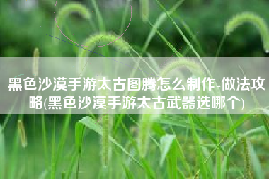 黑色沙漠手游太古图腾怎么制作-做法攻略(黑色沙漠手游太古武器选哪个)