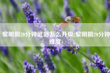 黎明前20分钟武器怎么升级(黎明前20分钟难度)