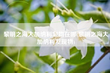 黎明之海大加纳利宝物在哪(黎明之海大加纳利发现物)