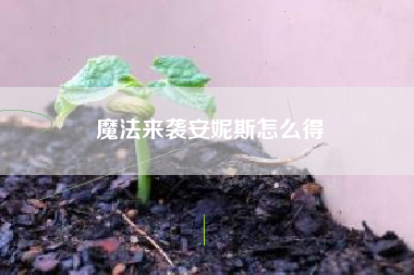 魔法来袭安妮斯怎么得