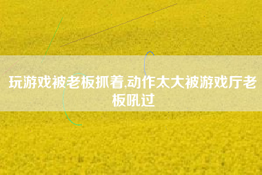 玩游戏被老板抓着,动作太大被游戏厅老板吼过