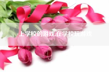 上学校的游戏,在学校玩游戏
