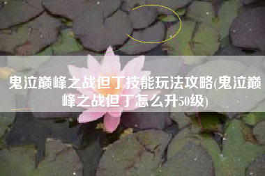 鬼泣巅峰之战但丁技能玩法攻略(鬼泣巅峰之战但丁怎么升50级)