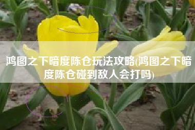 鸿图之下暗度陈仓玩法攻略(鸿图之下暗度陈仓碰到敌人会打吗)
