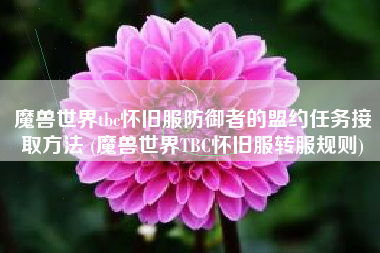 魔兽世界tbc怀旧服防御者的盟约任务接取方法 (魔兽世界TBC怀旧服转服规则)