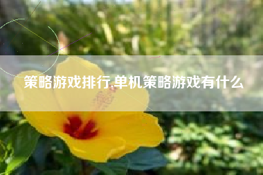 策略游戏排行,单机策略游戏有什么