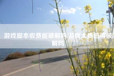 游戏脚本收费能破解吗,游戏太贵值得破解吗