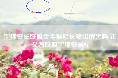 黑猫警长联盟金毛猴船长输出厉害吗(正义者联盟黑猫警长9)