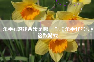杀手47游戏合集是哪一个,《杀手代号47》这款游戏