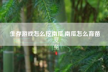 生存游戏怎么挖南瓜,南瓜怎么育苗