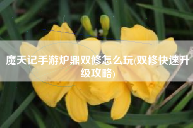 魔天记手游炉鼎双修怎么玩(双修快速升级攻略)