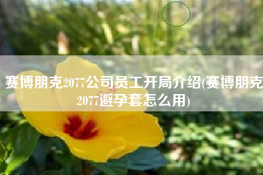 赛博朋克2077公司员工开局介绍(赛博朋克2077避孕套怎么用)