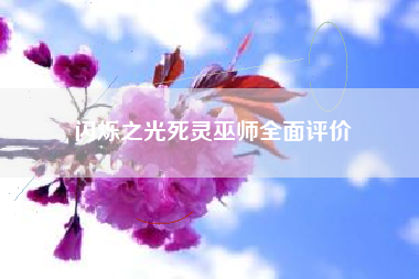 闪烁之光死灵巫师全面评价